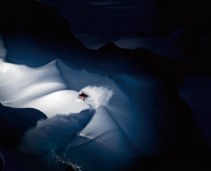 Jaw-Dropping Winners of the Red Bull Illume Sports Photography Contest-03